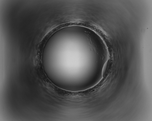 X0000093461256200710121400