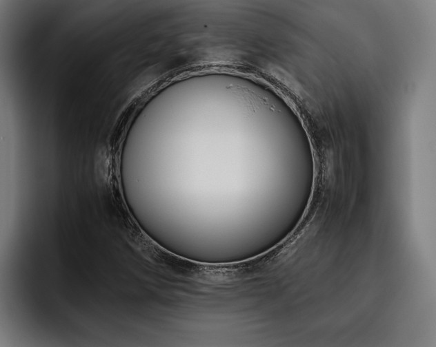 X0000093461258200710121400