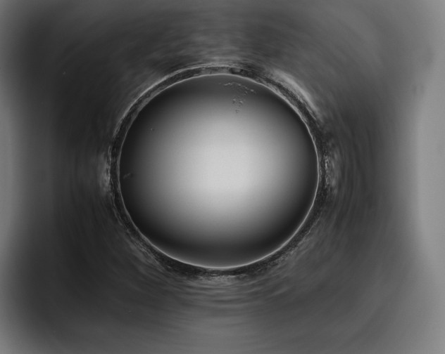 X0000093461260200710121400