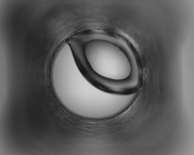 X0000093461261200710121400