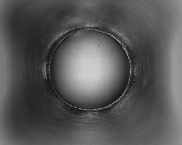 X0000093461262200710121400