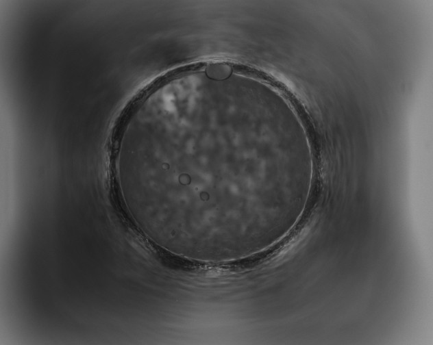 X0000093461263200710121400