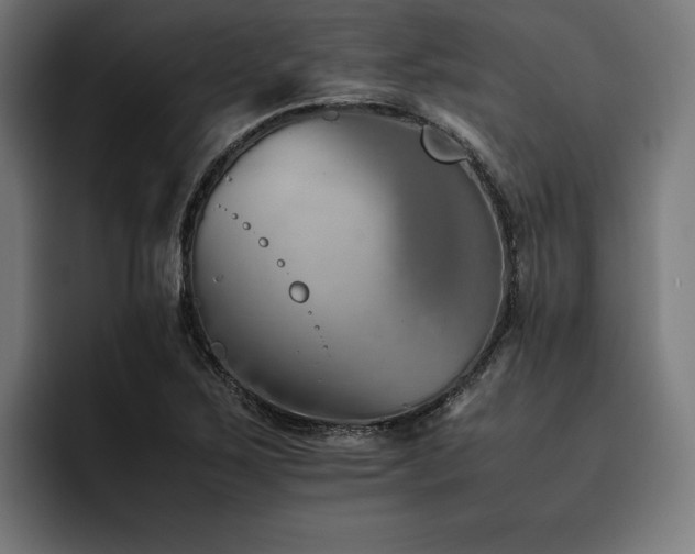 X0000093461267200710121400