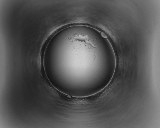 X0000093461270200710121400