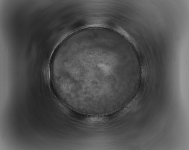 X0000093461274200710121400