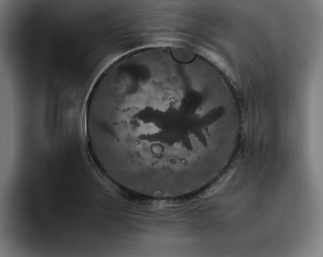 X0000093461275200710121400