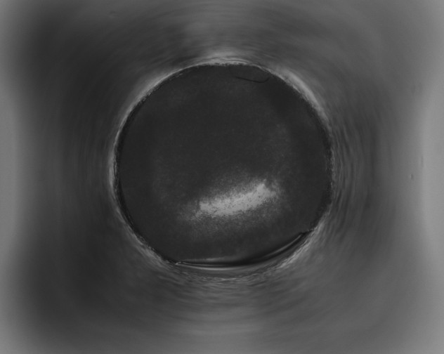 X0000093461277200710121400