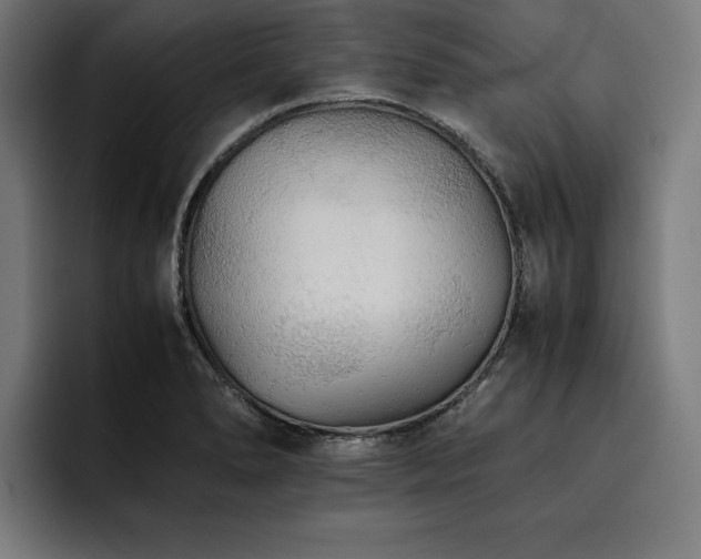 X0000093461278200710121400