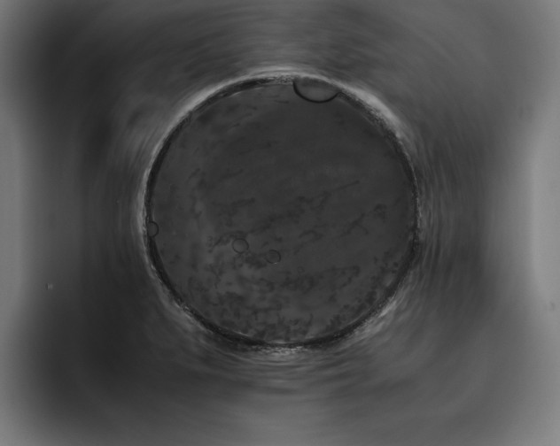 X0000093461279200710121400