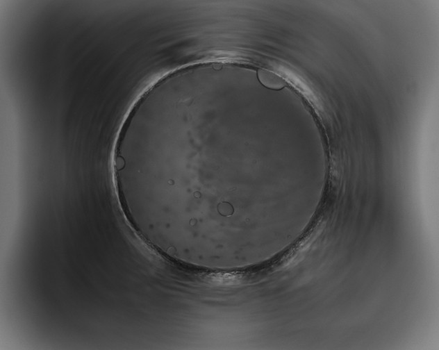 X0000093461283200710121359