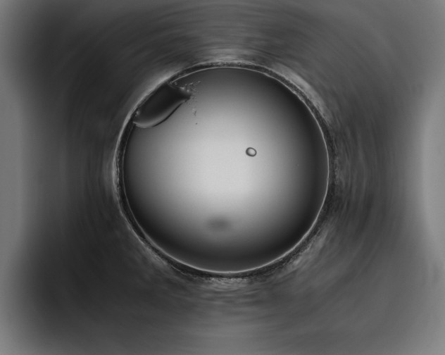 X0000093461285200710121359