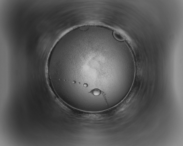 X0000093461287200710121359