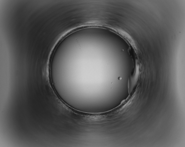 X0000093461288200710121359