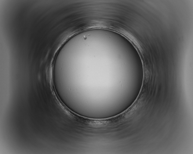 X0000093461290200710121359