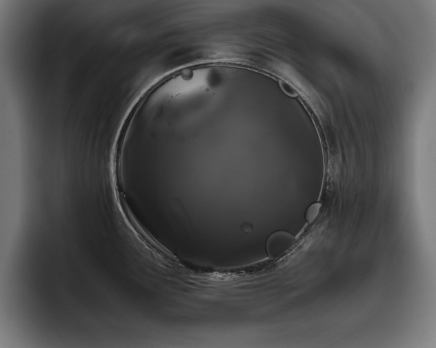 X0000093461291200710121359