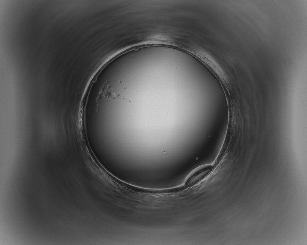 X0000093461292200710121359