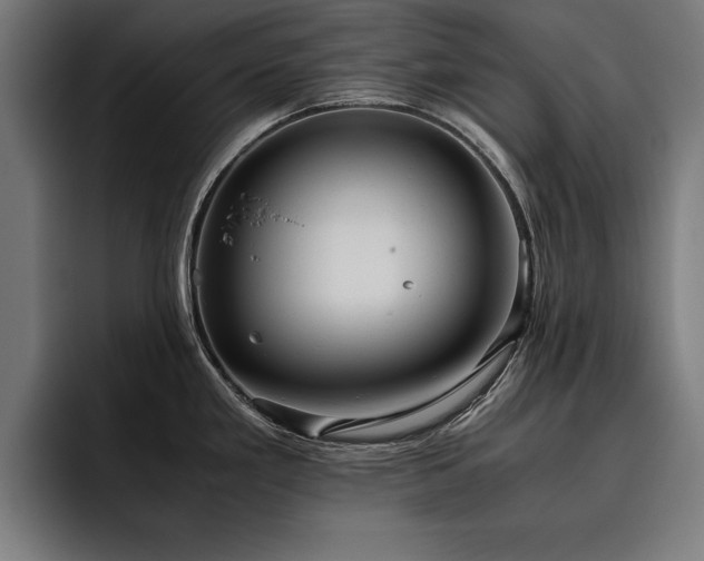 X0000093461293200710121359