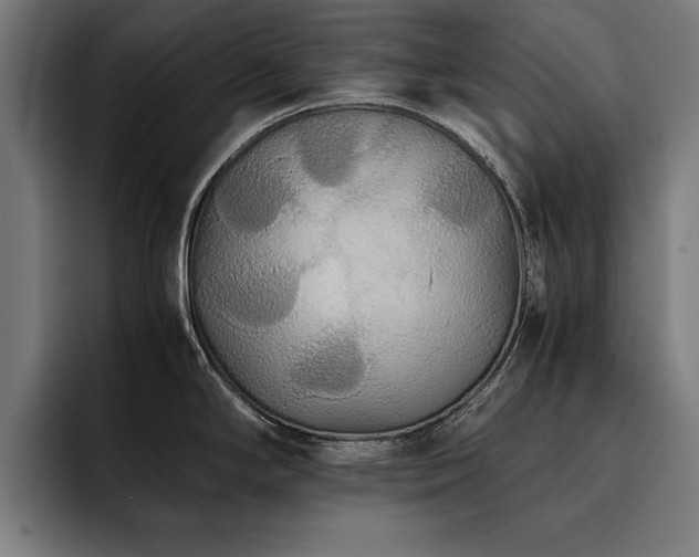 X0000093461294200710121359