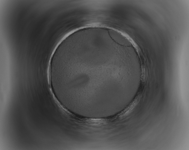 X0000093461295200710121359