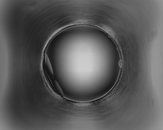 X0000093461296200710121359