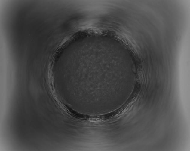 X0000093461297200710121359