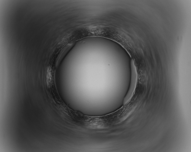 X0000093461298200710121359