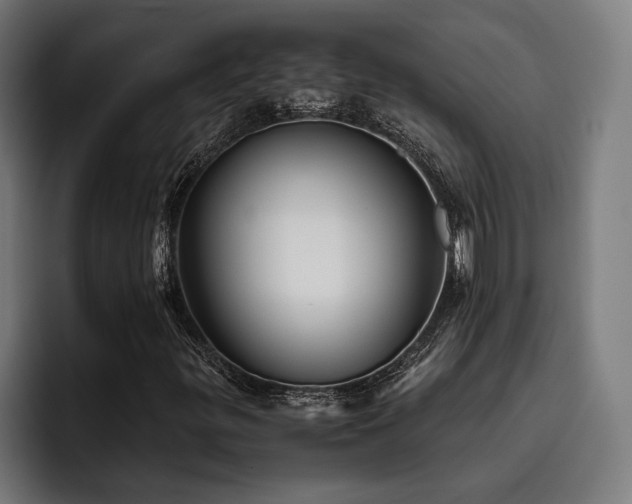 X0000093461299200710121359