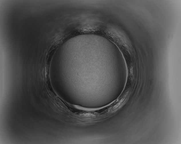 X0000093461300200710121359