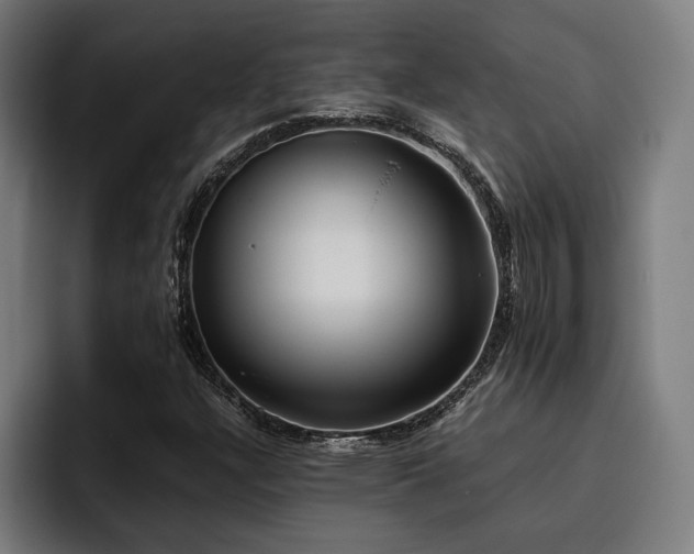 X0000093461304200710121359