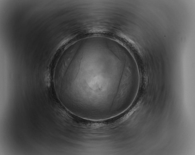 X0000093461306200710121359