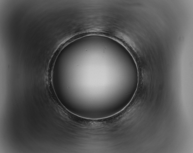 X0000093461308200710121359