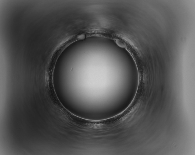 X0000093461309200710121359