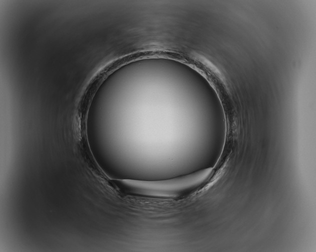 X0000093461310200710121359