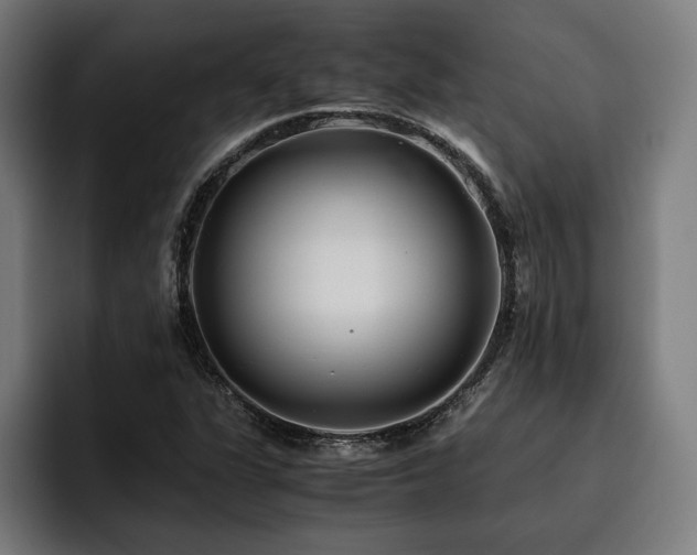 X0000093461311200710121359