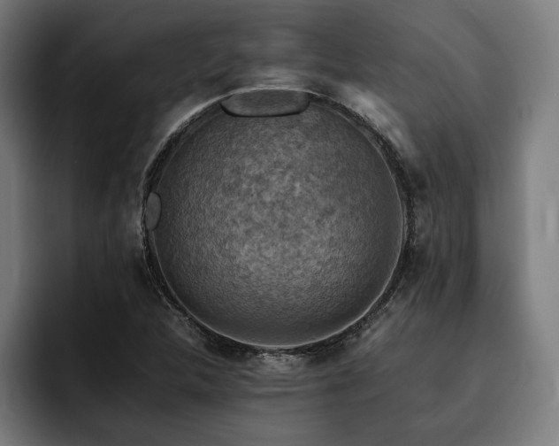 X0000093461312200710121359