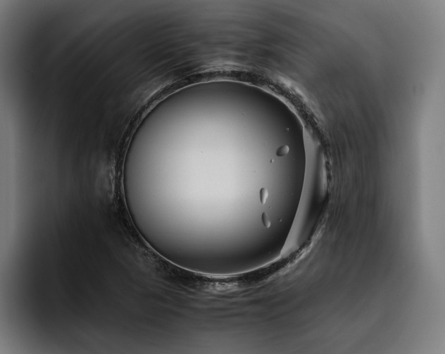 X0000093461313200710121359