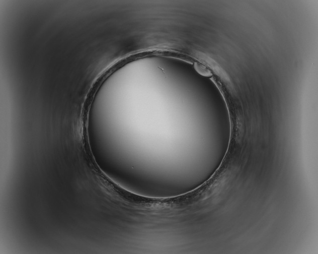 X0000093461316200710121359