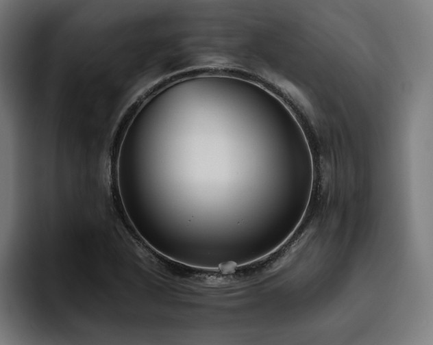 X0000093461318200710121359