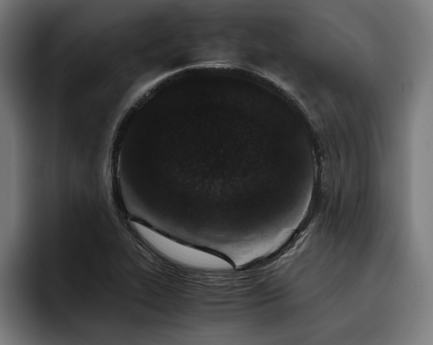 X0000093461319200710121359