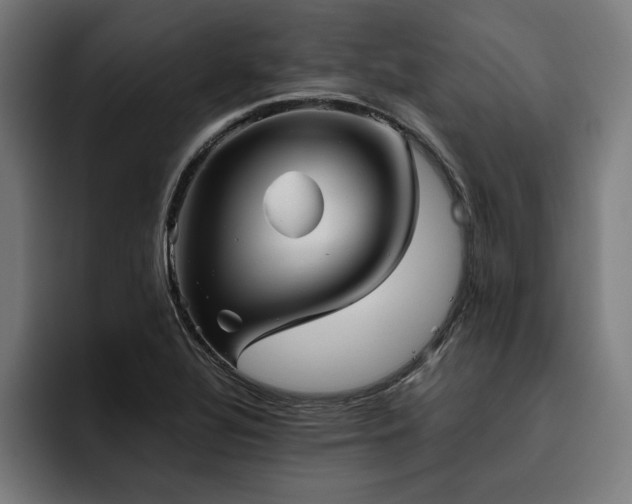 X0000093461320200710121359