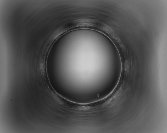 X0000093461321200710121359