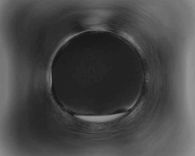 X0000093461323200710121359