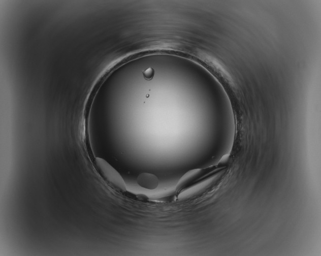 X0000093461324200710121359