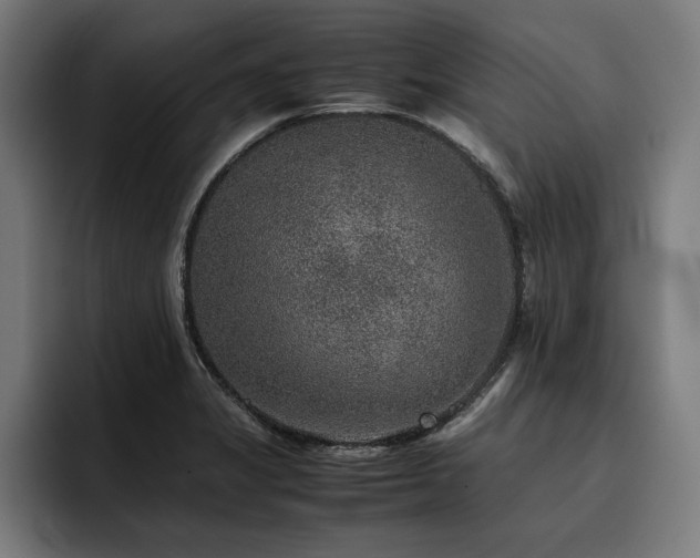 X0000093461325200710121359