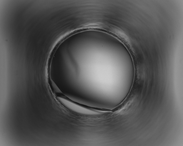 X0000093461328200710121359