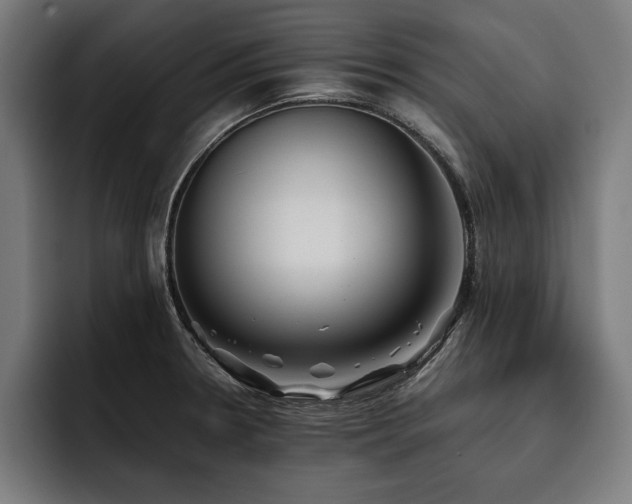 X0000093461330200710121359