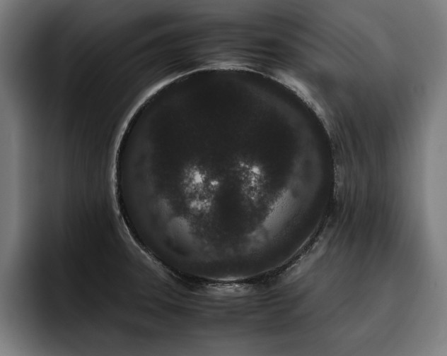 X0000093461331200710121359