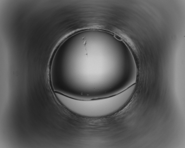 X0000093461332200710121359