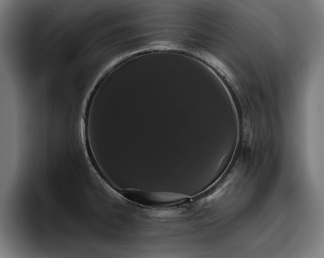 X0000093461334200710121359