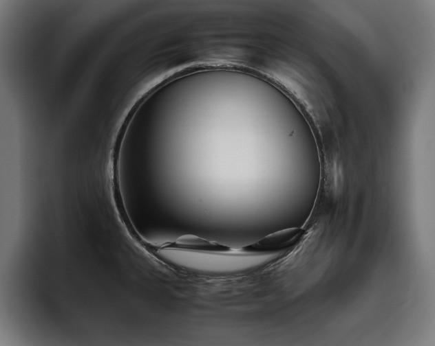 X0000093461335200710121359